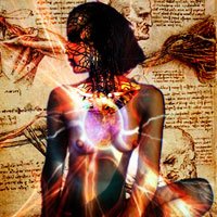 Anatomia Além Do Corpo